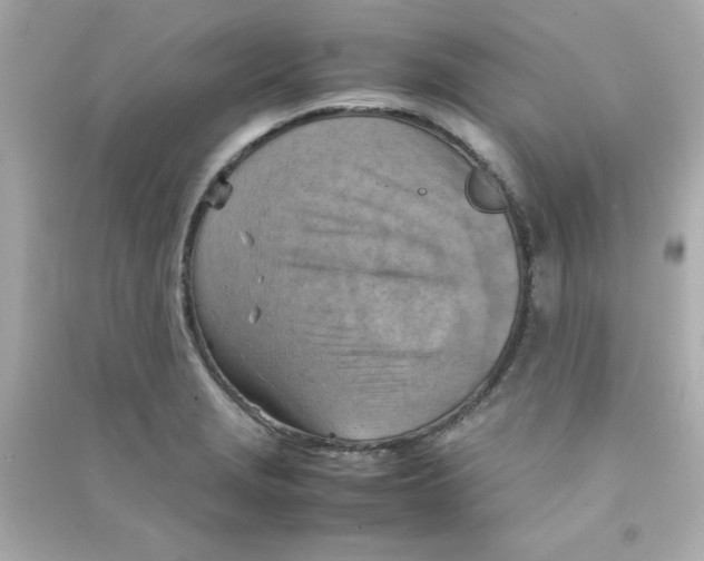 X0000090491229200708102211