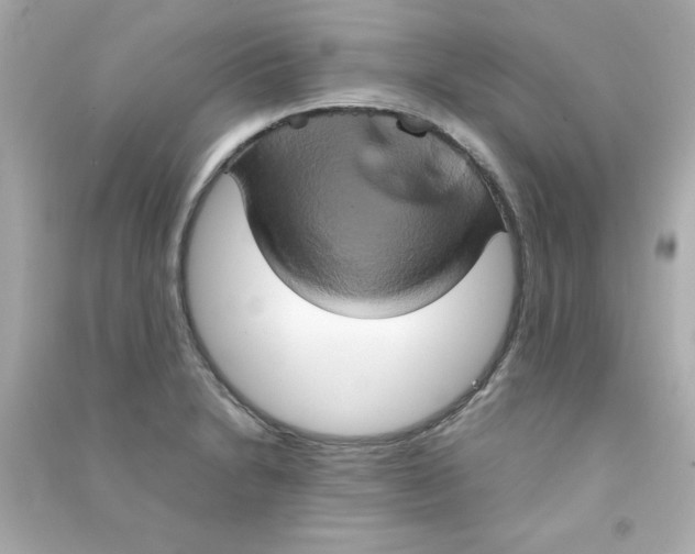 X0000090491230200708102211