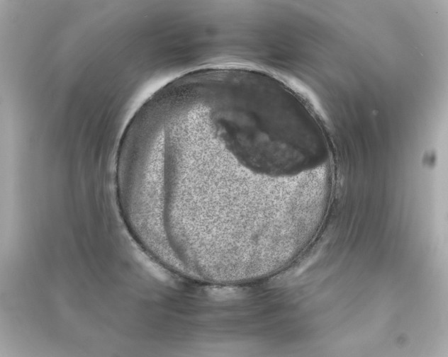 X0000090491231200708102211