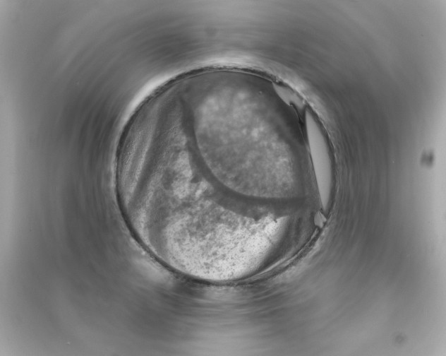 X0000090491232200708102211