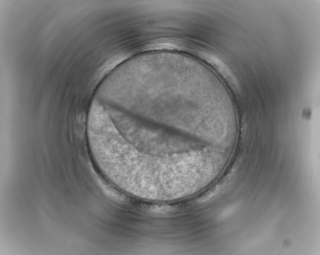 X0000090491233200708102212