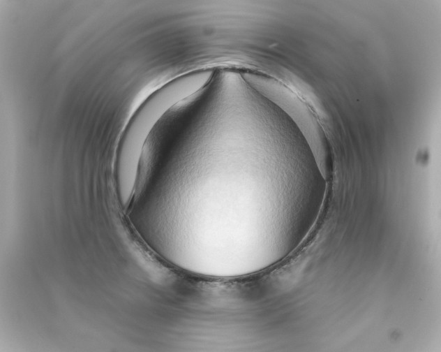 X0000090491234200708102212