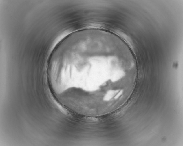 X0000090491235200708102212