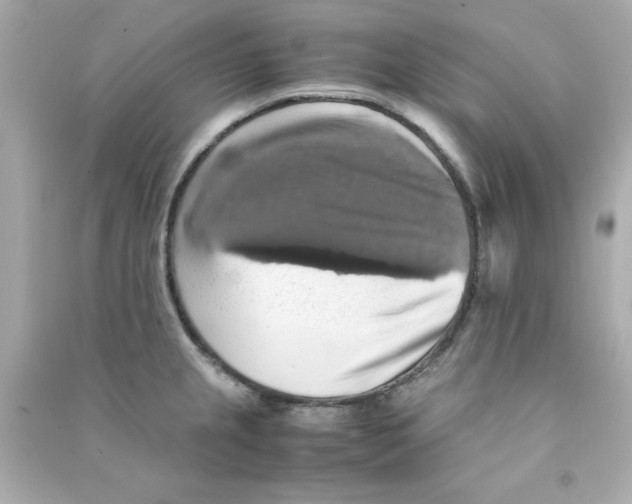 X0000090491237200708102212