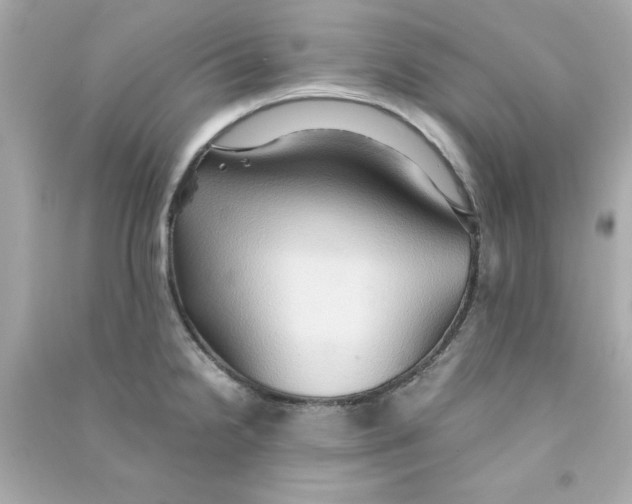 X0000090491238200708102212