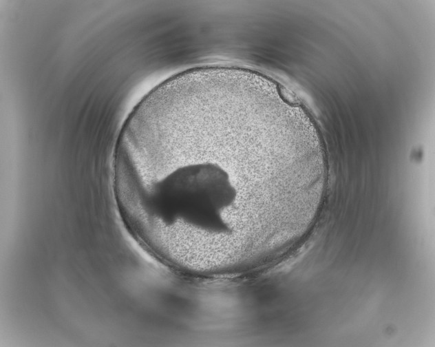 X0000090491239200708102212