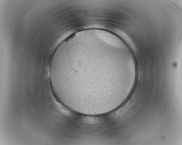 X0000090491241200708102212