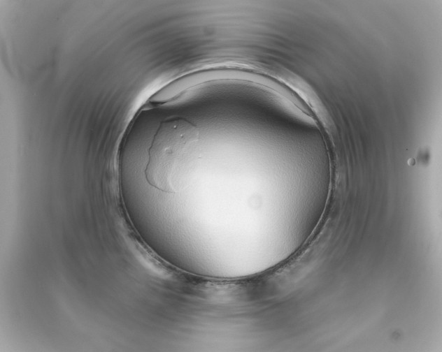 X0000090491242200708102212