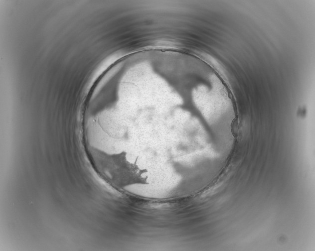 X0000090491243200708102212