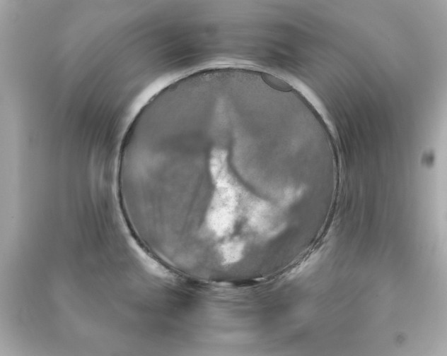 X0000090491245200708102212