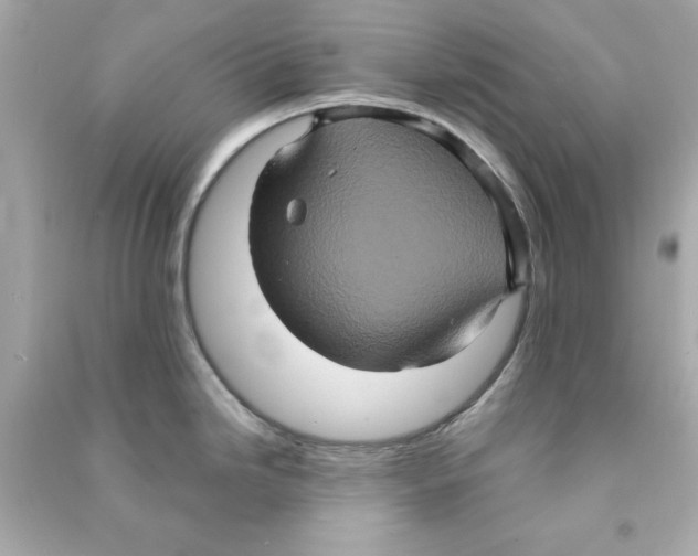 X0000090491246200708102212