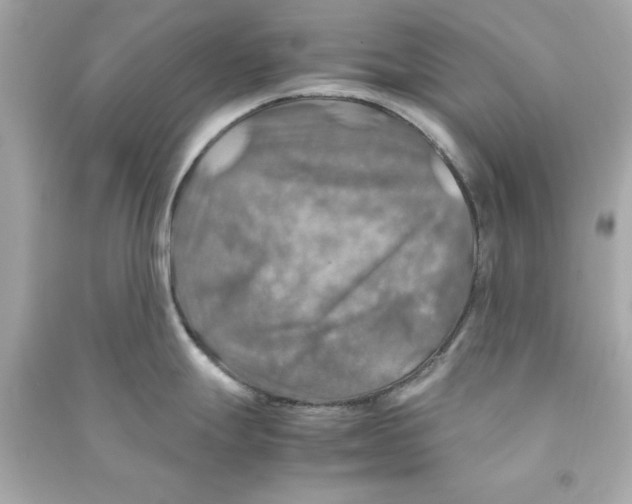 X0000090491247200708102212