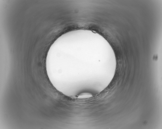 X0000090491249200708102211