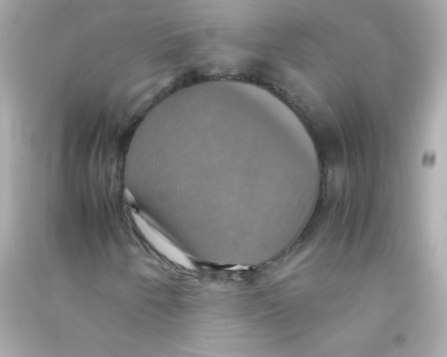 X0000090491250200708102211