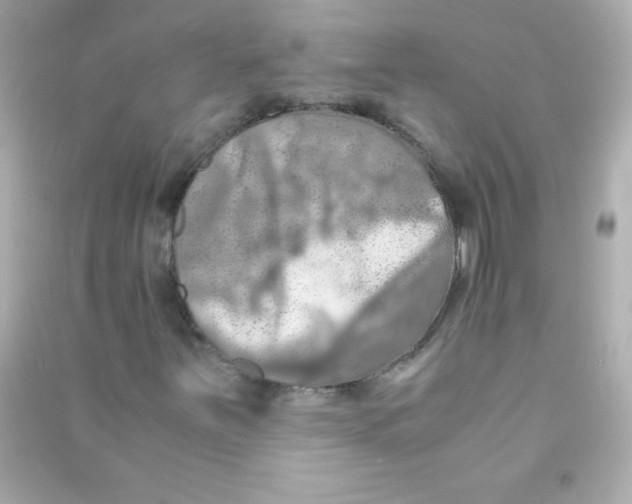 X0000090491251200708102211