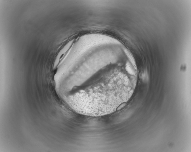 X0000090491252200708102211