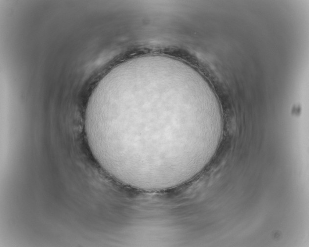 X0000090491253200708102211