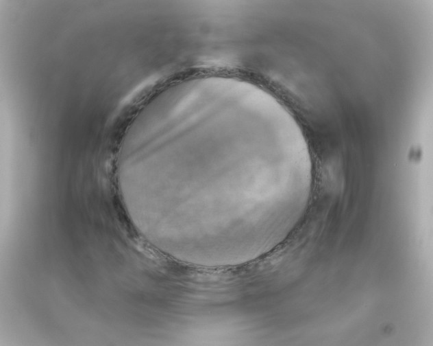 X0000090491254200708102211