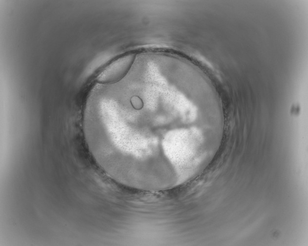 X0000090491255200708102211