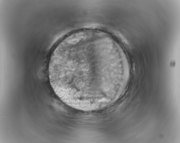 X0000090491256200708102211