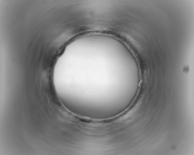 X0000090491257200708102211