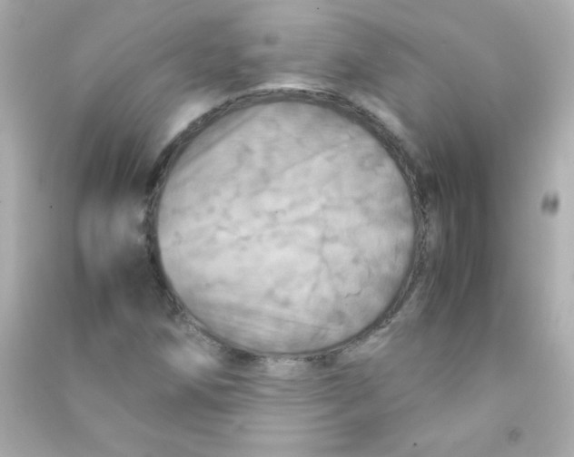 X0000090491258200708102211