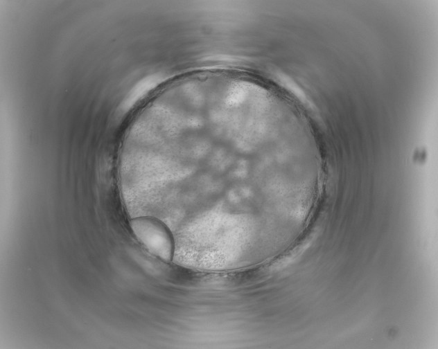 X0000090491259200708102211