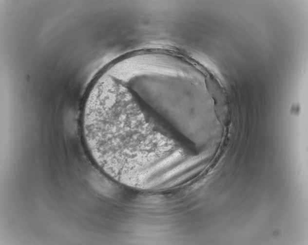 X0000090491260200708102211