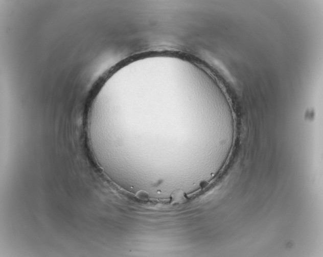 X0000090491261200708102211