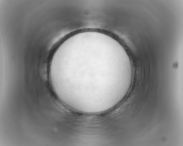 X0000090491262200708102211