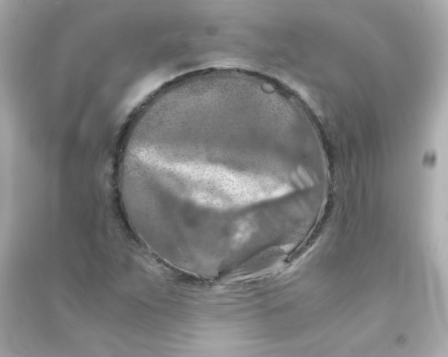 X0000090491263200708102211