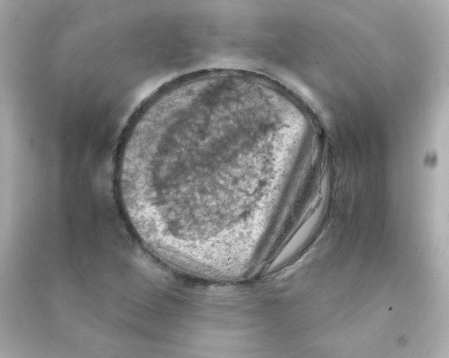 X0000090491264200708102211