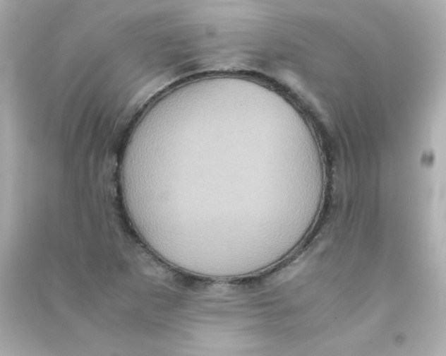 X0000090491265200708102211