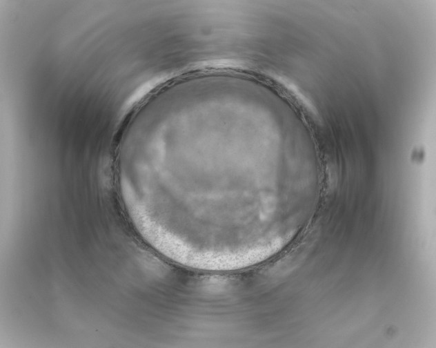 X0000090491266200708102211