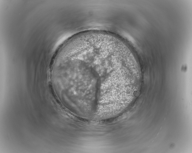 X0000090491267200708102211