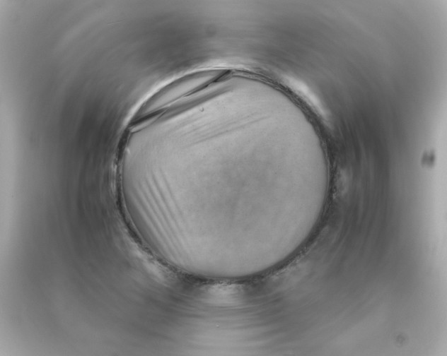 X0000090491268200708102211