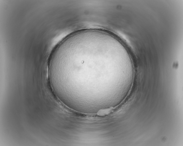 X0000090491269200708102211