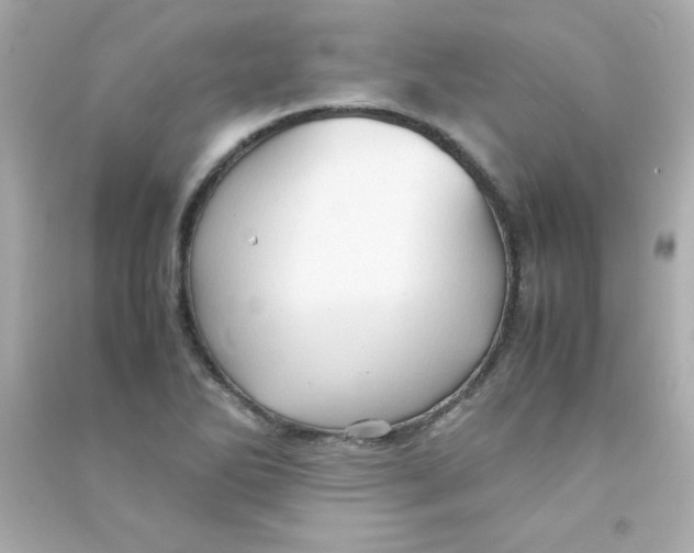 X0000090491270200708102211