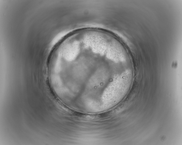 X0000090491271200708102211