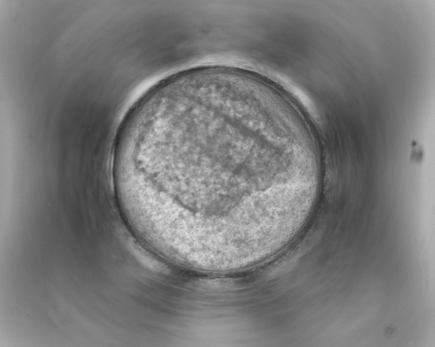 X0000090491272200708102211