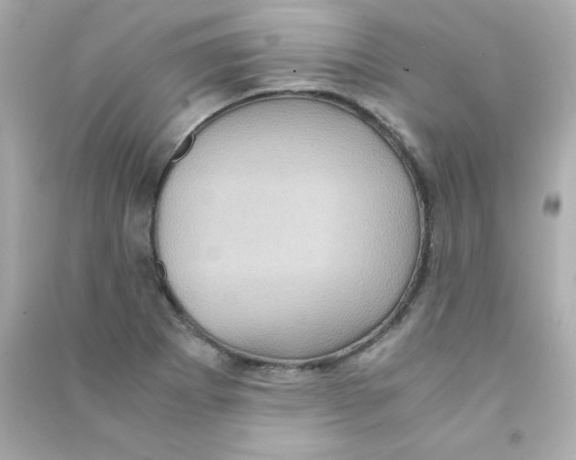 X0000090491273200708102211