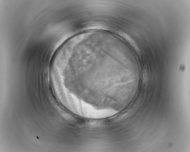 X0000090491274200708102211