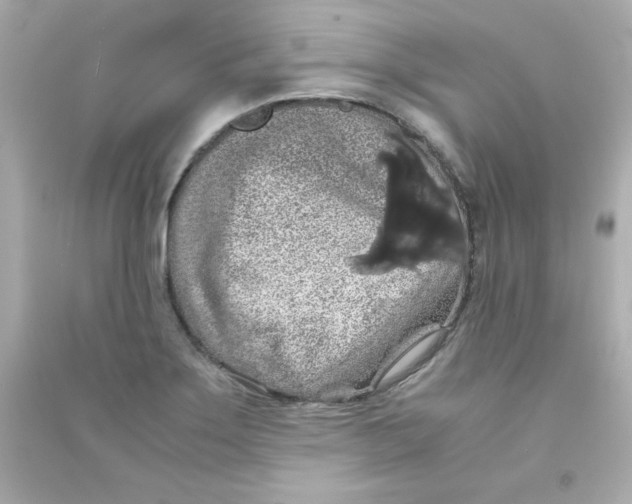 X0000090491275200708102211