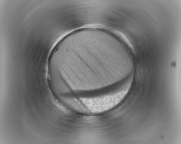 X0000090491276200708102211