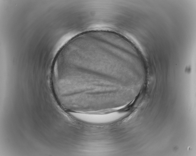 X0000090491277200708102211