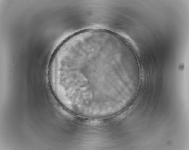 X0000090491278200708102211