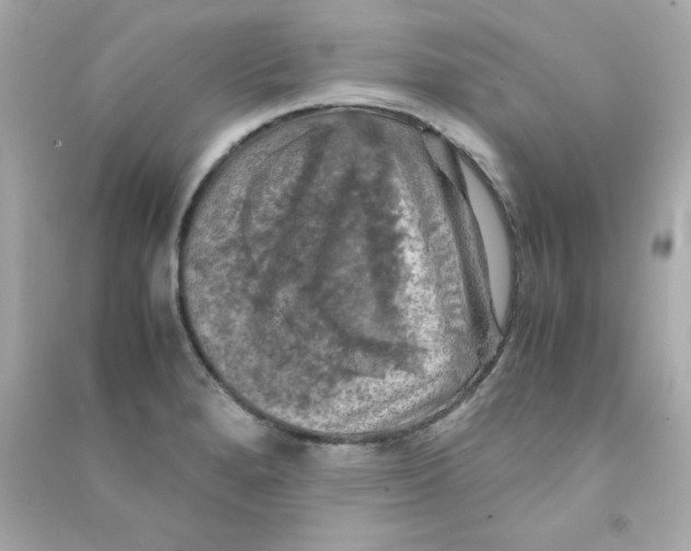 X0000090491280200708102211