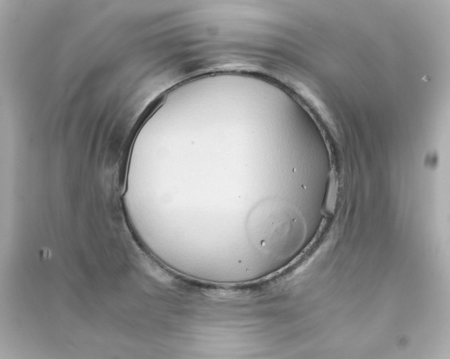 X0000090491281200708102211