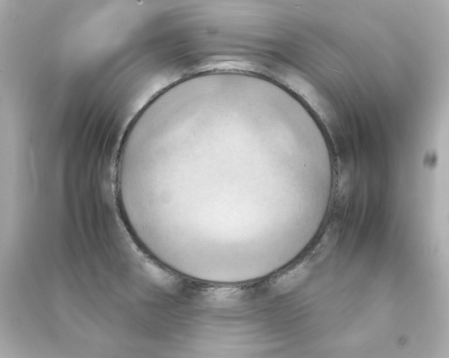 X0000090491282200708102211