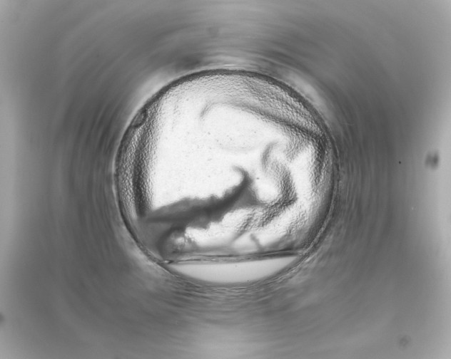 X0000090491283200708102211